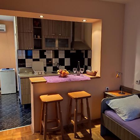 Apartman Ristic Нишка-Баня Экстерьер фото