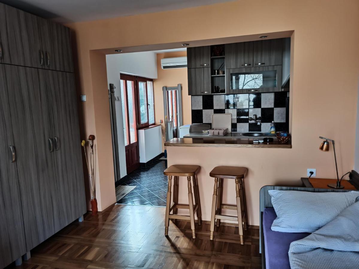 Apartman Ristic Нишка-Баня Экстерьер фото