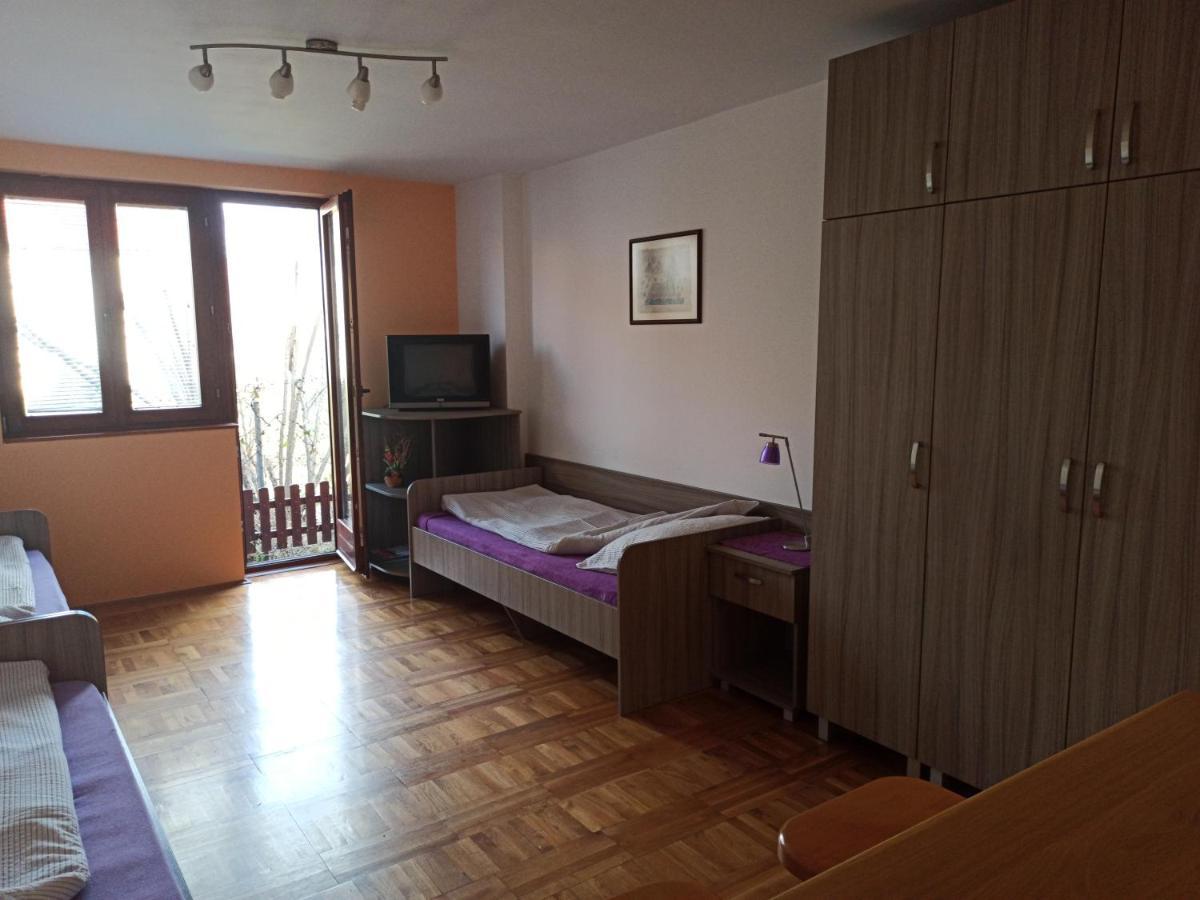 Apartman Ristic Нишка-Баня Экстерьер фото